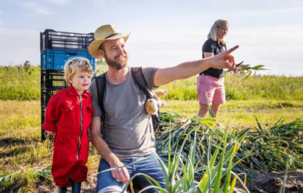 VR-11-apr-Campagnefoto-550-x-500-